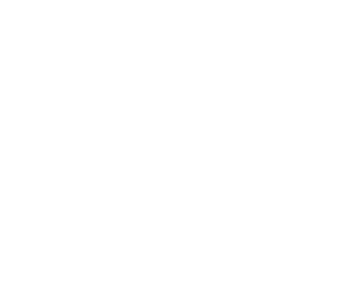 BBQ Bros