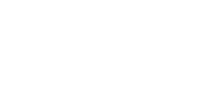 Bendita Banderilla